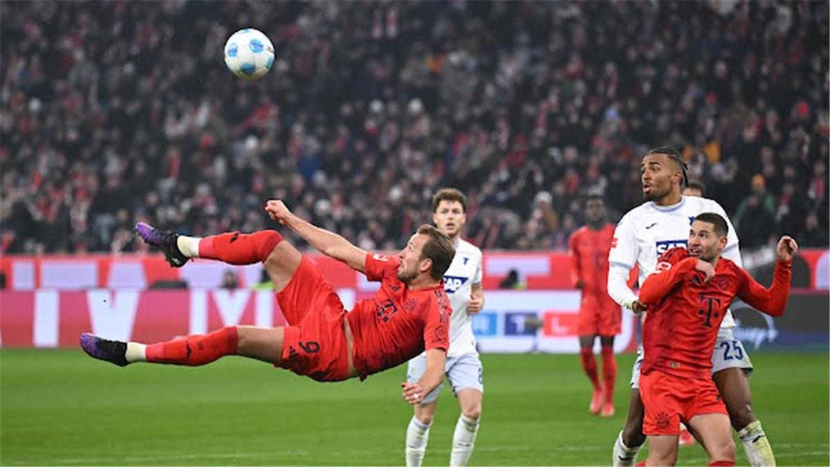 الحلم نيوز : فيديو | بايرن ميونخ يكتسح هوفنهايم بخماسية ويعزز صدارته للدوري الألماني